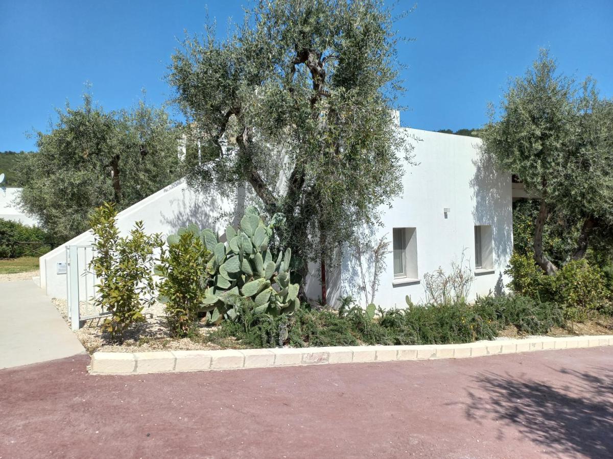 Hmo Glamping & Suites In Vignanotica マッティナータ エクステリア 写真