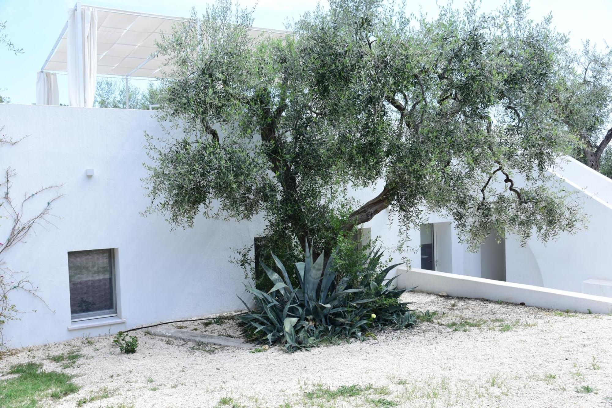 Hmo Glamping & Suites In Vignanotica マッティナータ 部屋 写真