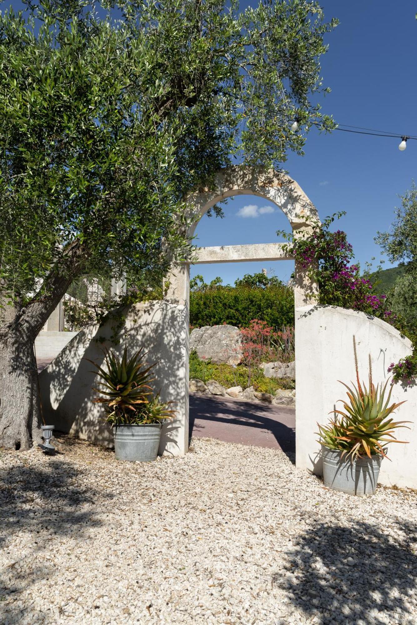 Hmo Glamping & Suites In Vignanotica マッティナータ エクステリア 写真