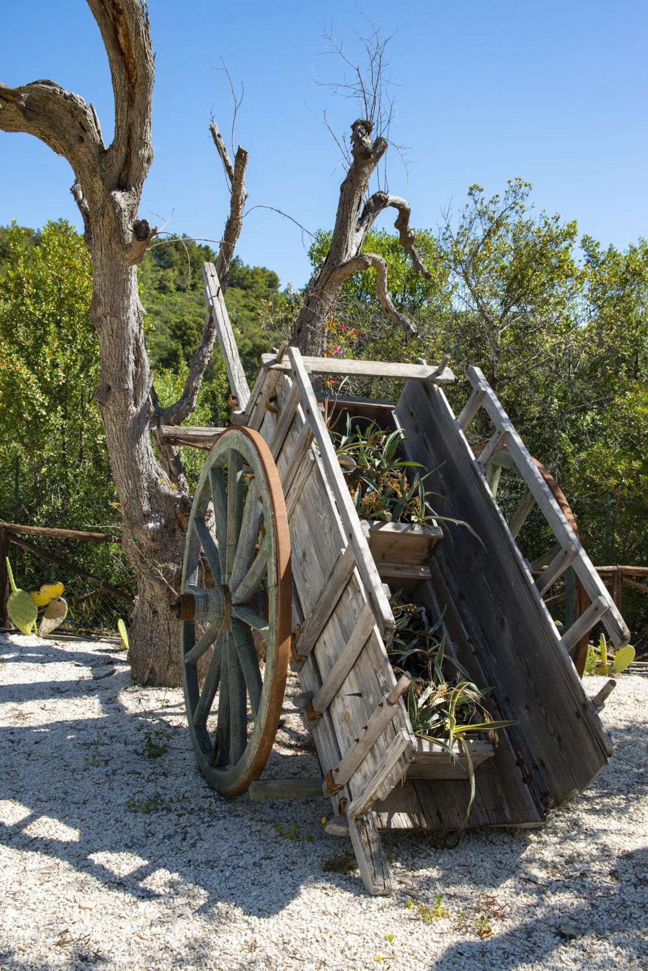 Hmo Glamping & Suites In Vignanotica マッティナータ エクステリア 写真