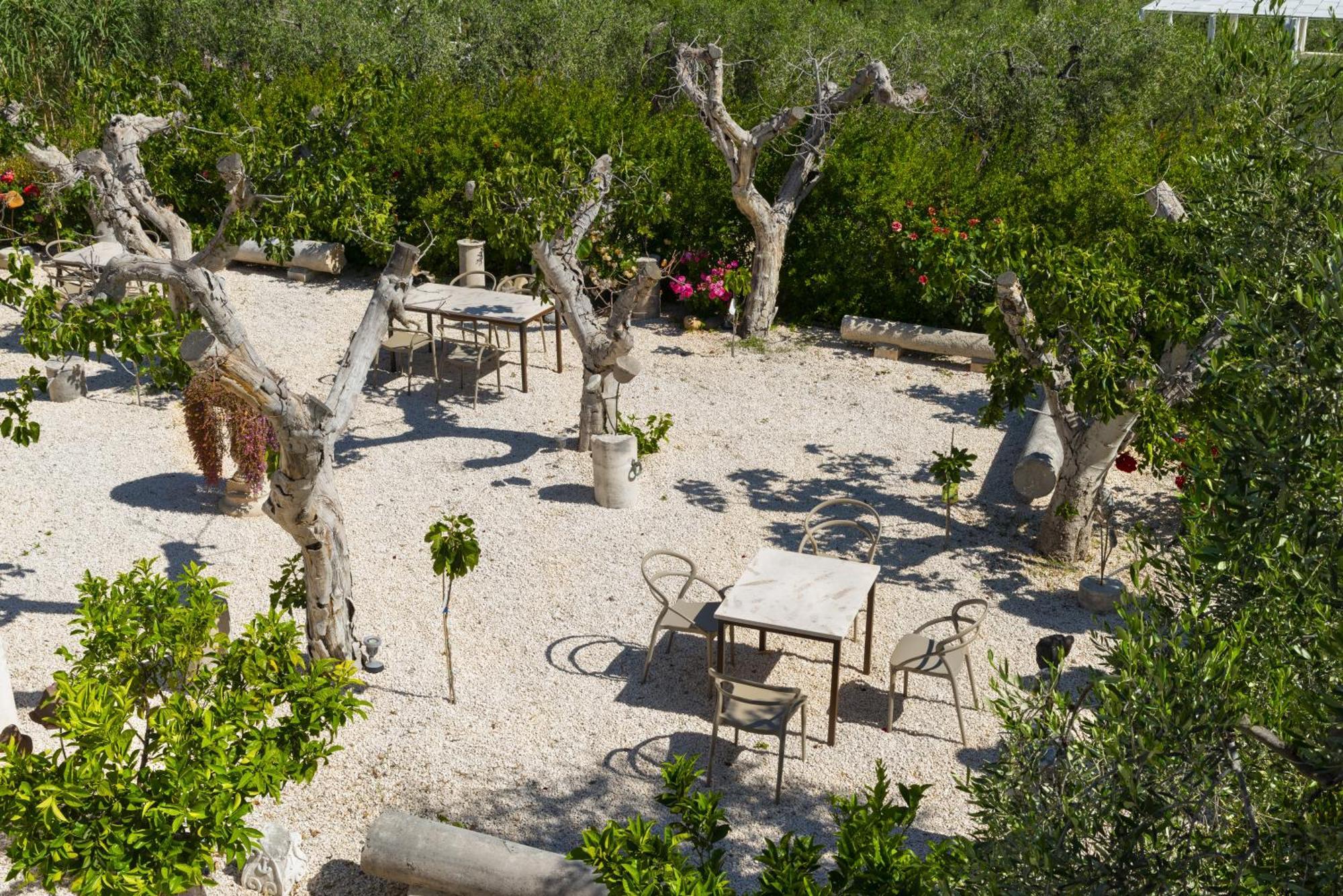 Hmo Glamping & Suites In Vignanotica マッティナータ エクステリア 写真